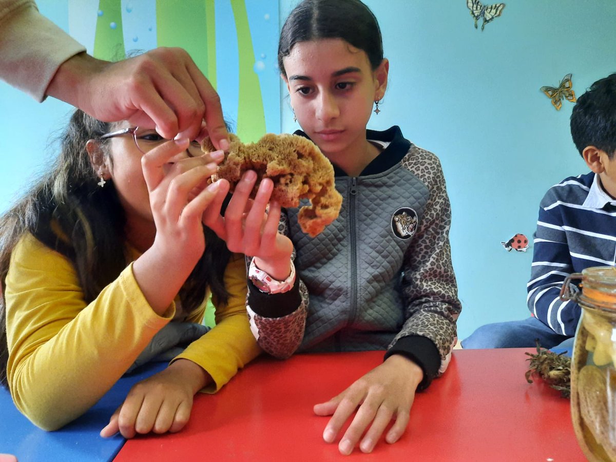 EscolaTanit's tweet photo. Els infants de 5è i 6è continuem descobrint el món submarí. Visitem l'@ecometropoli i gaudim d'un taller on aprenem curiositats sobre els invertebrats marins. També toquem mostres dels seus esquelets i fins i tot exemplars vius! https://t.co/iXVSiTPLFA