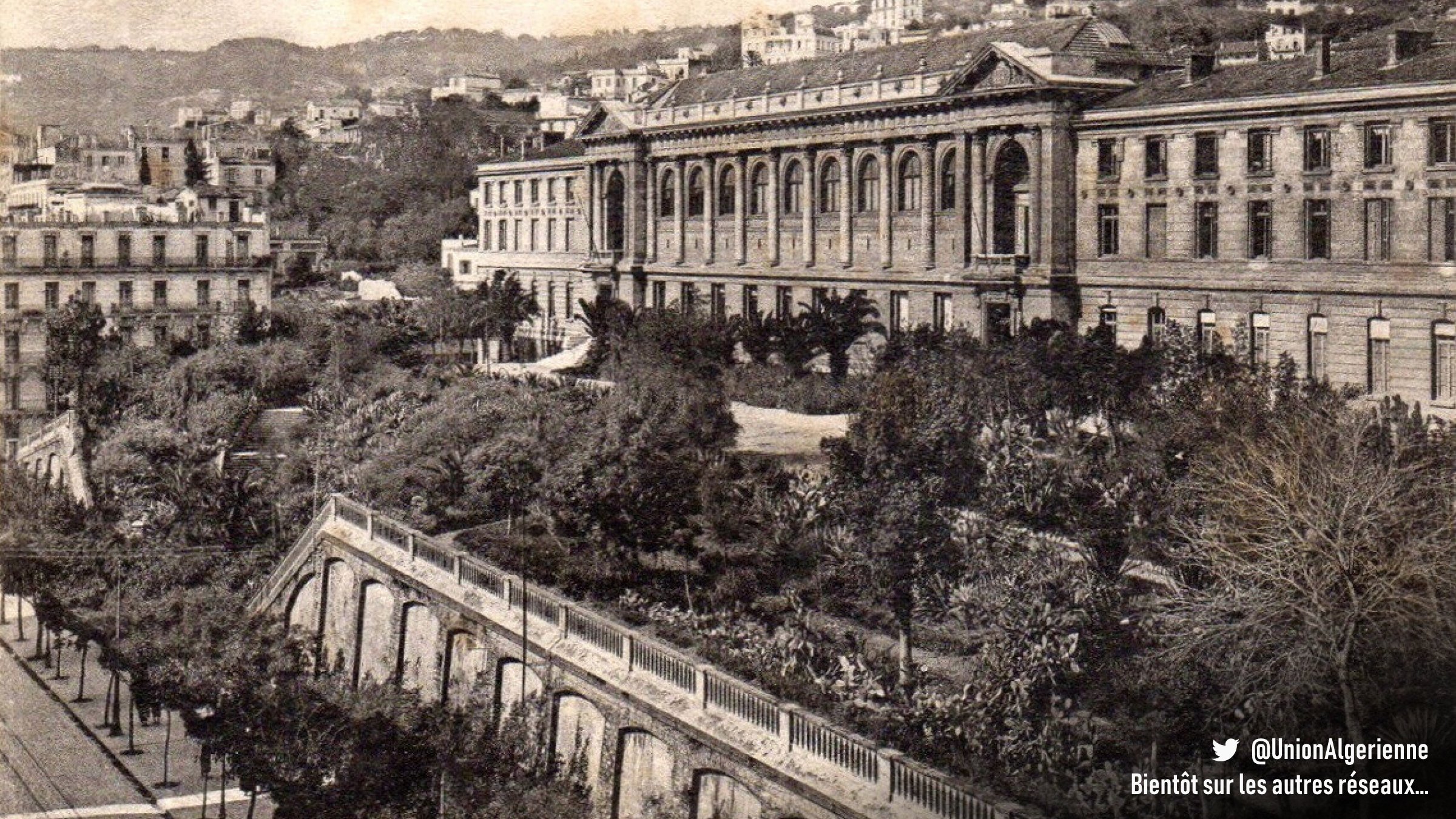 Union Algérienne ☪︎ (UnionAlgerienne) / Twitter