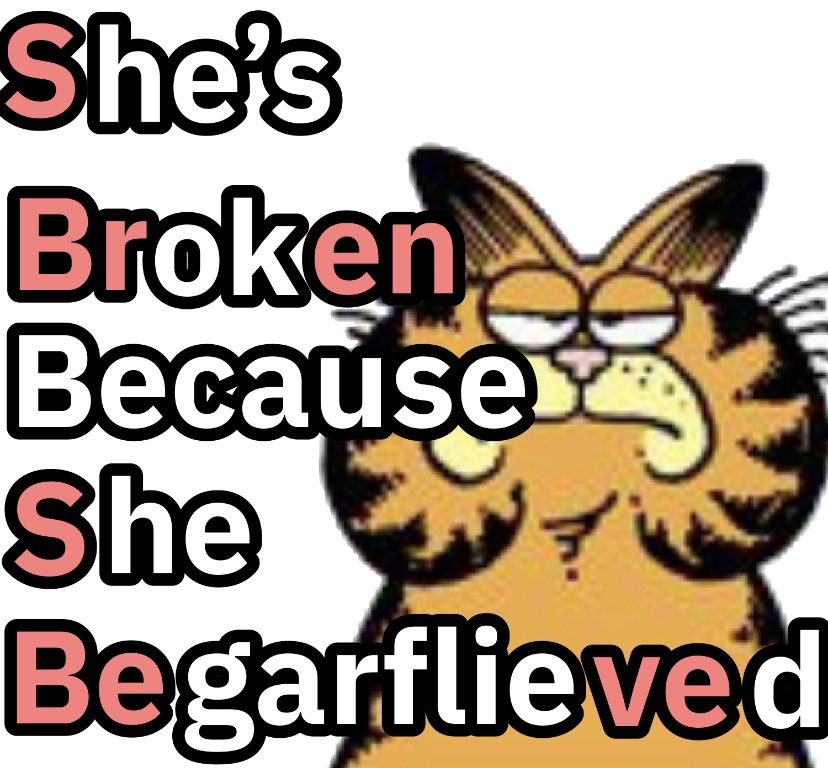 BigGarfFan37 (@biggarffan37) on Twitter photo 