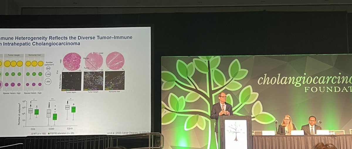 SumeraIlyasMD's tweet photo. Masterful and engaging talk by @TimGreten on novel emerging targets in cholangiocarcinoma. More to come on this and everything #CCA at the @FASEBorg #CHOSRC August 13-17 in Palm Springs. @curecc @MarioStrazzabos @siadaniela @LewisRobertsMD @staclinds https://t.co/LcY5JzwOCm
