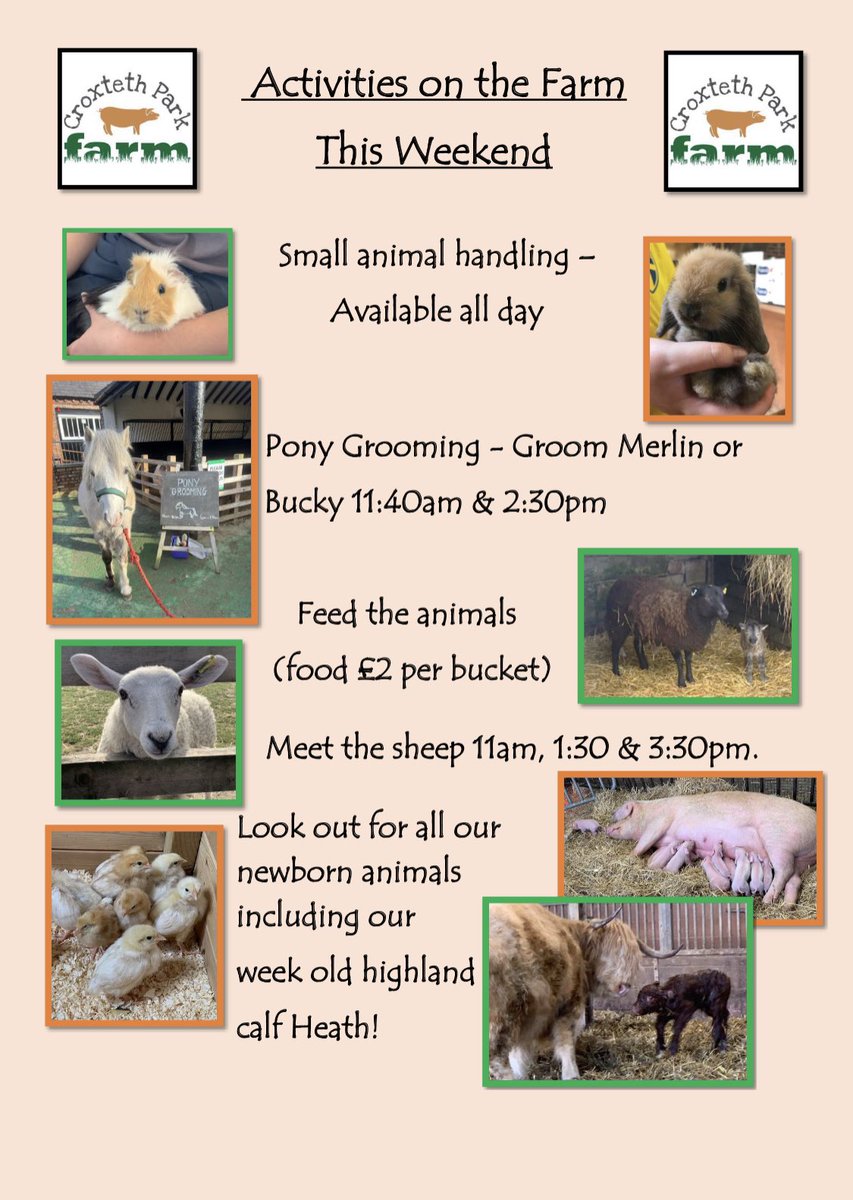CroxtethFarm's tweet photo. Our activity timetable this weekend. 😊 We have lots of baby animals for you to see including Heath the week old highland calf with his mum Jasmine! We are open 10am-5pm every day, last entry 4pm. 🐮🐷🐴🐑🐐🐰🐹🐥 #farm #familytime #meettheanimals @Liverpool_CU https://t.co/YnClmq31UM