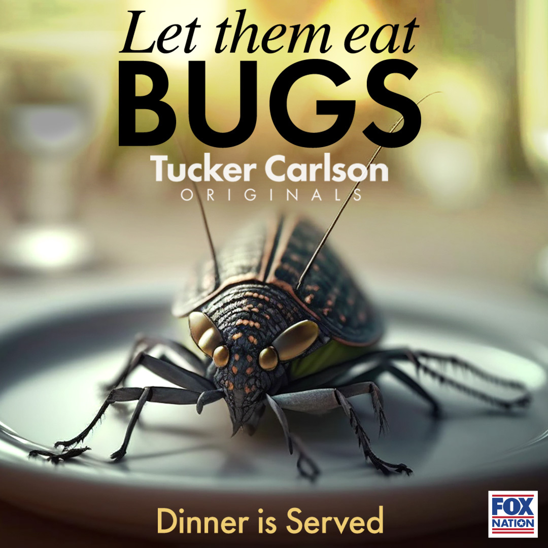 foxnation's tweet image. Would you like bugs with that? Tucker Carlson investigates the concerning push from celebrities and influencers to include BUGS in your diet. Check out the latest installment of @TuckerOriginals now on Fox Nation! bit.ly/41qMUPv