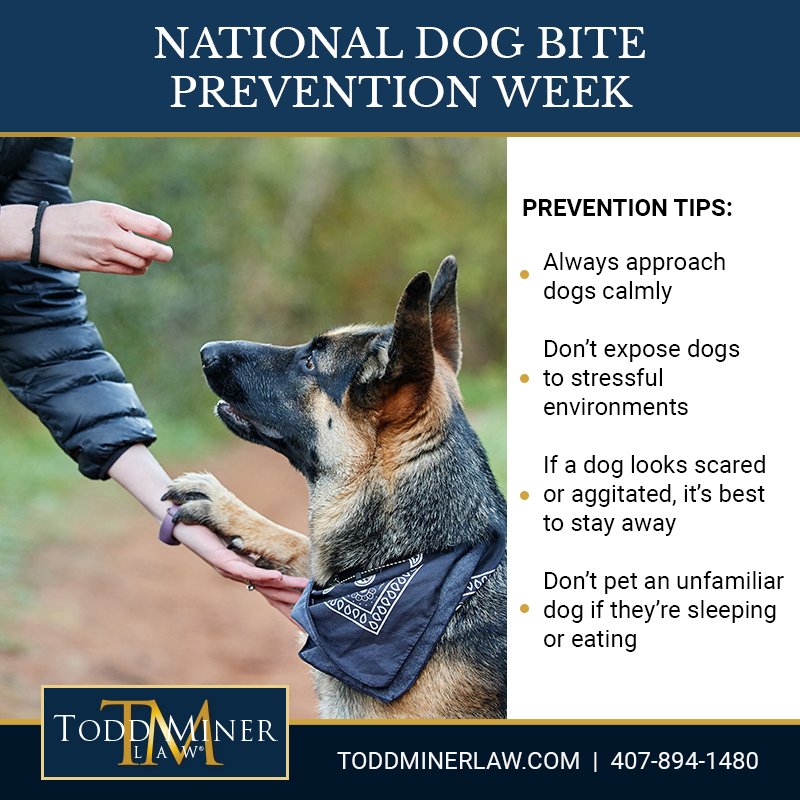ToddMinerLaw's tweet image. toddminerlaw.com/personal-injur…
It’s National Dog Bite Prevention Week. Here are a few tips to help avoid a bad encounter with man’s best friend. 
#mansbestfriend #dogbiteprevention #doglover #dogbite #nationaldogbitepreventionweek