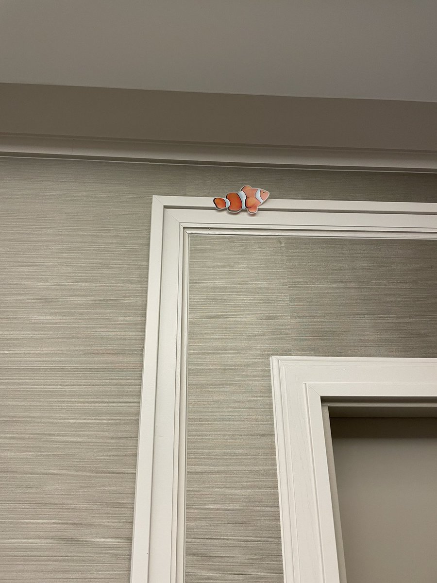 h_gerba's tweet image. i dare any of u to find this fish at #SCMS2023
