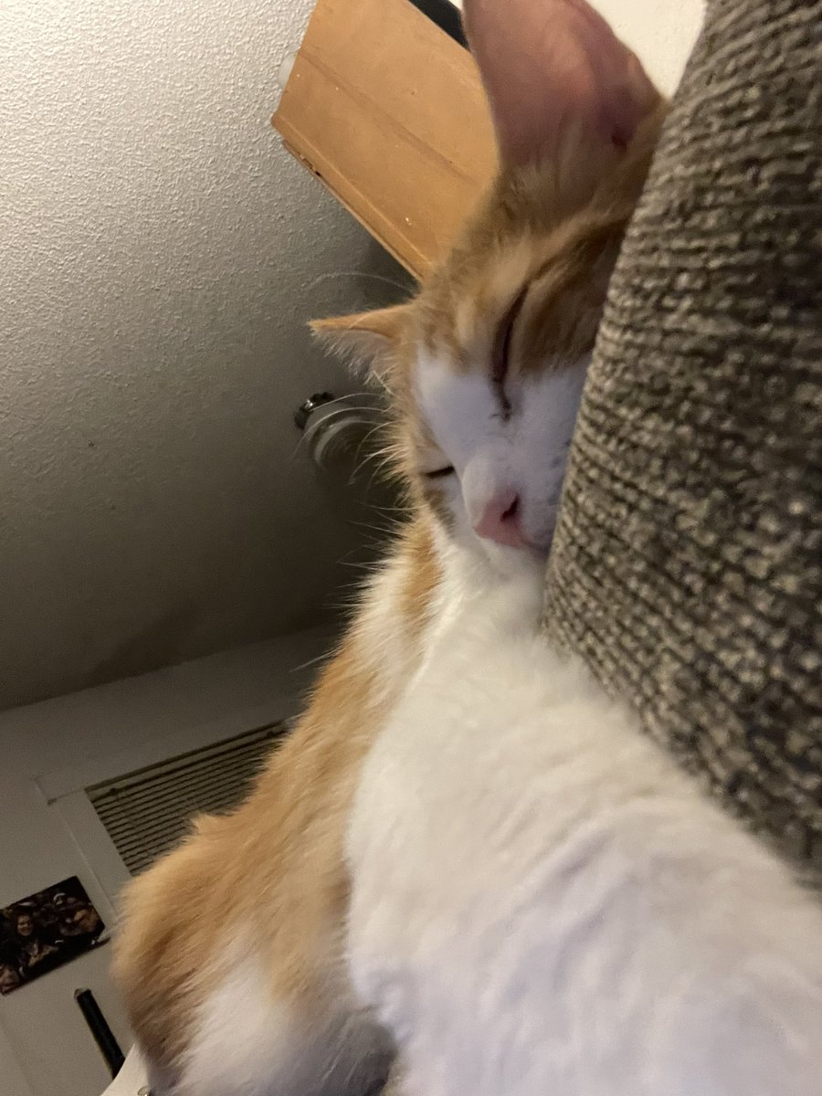 clebs0da's tweet image. cheddar posting