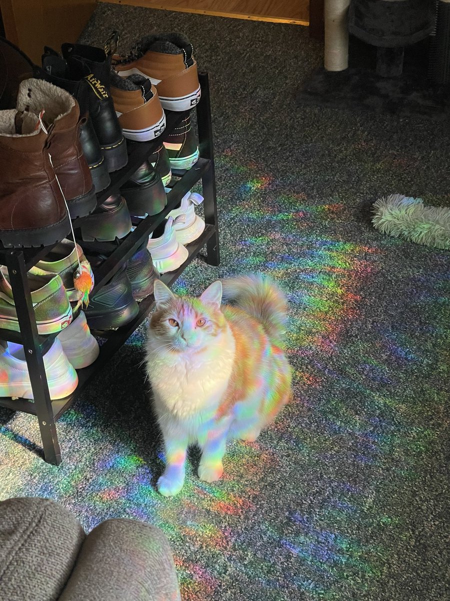 clebs0da's tweet image. cheddar posting