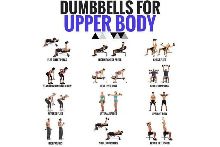 JenDemonFemboy's tweet photo. @NotToast I just wanna start working out https://t.co/bVx38kfLQ4