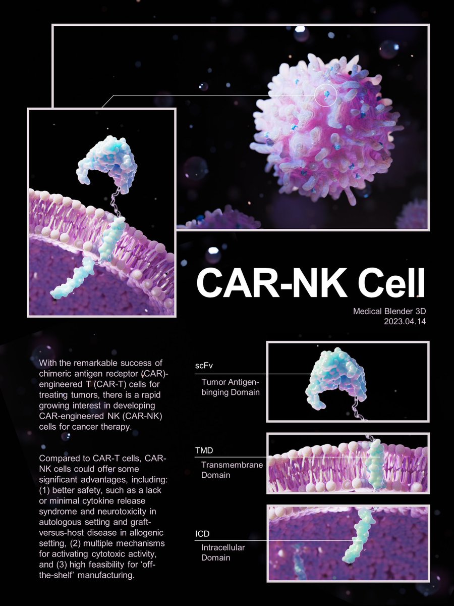 gaogaibaigu's tweet photo. Completed the final homework，use blender to create a poster to show CAR-NK cell therapy
#blender #biovisualization #Medical #MolecularNodes https://t.co/2KnroPvy2c