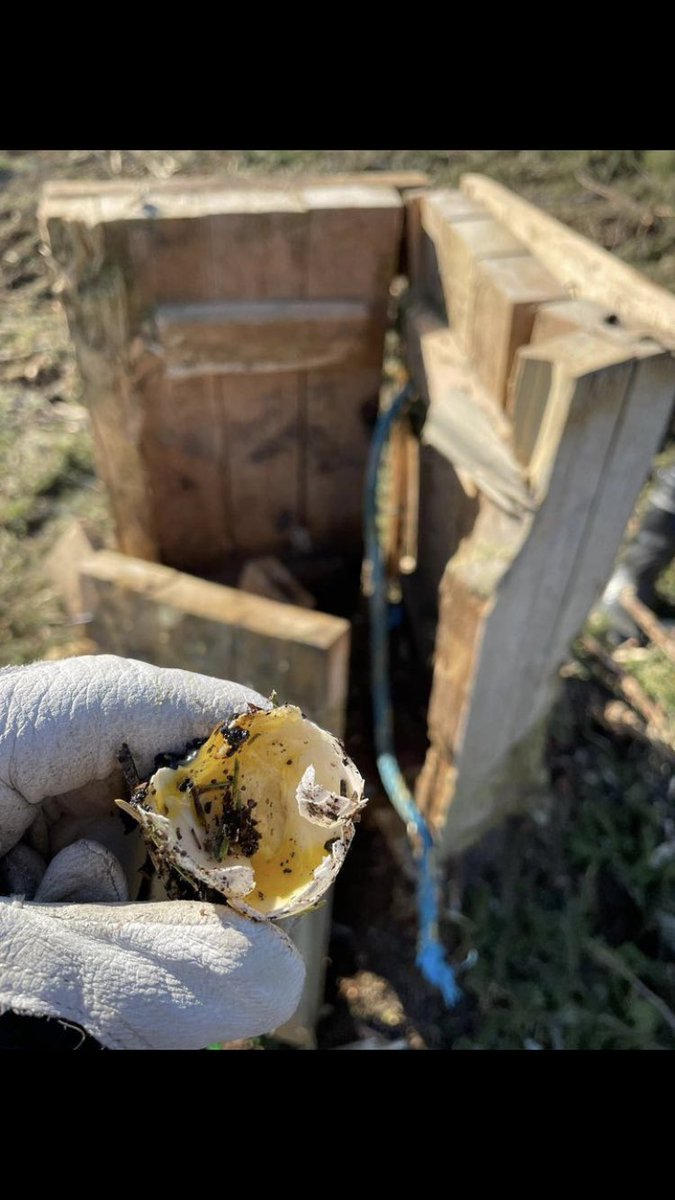 PanuHalme's tweet photo. Pesimäaikaiset hakkuut ovat luonnon- ja eläinsuojelullinen ongelma. Tämä viirupöllön pönttö munineen murskautui tänään moton alle. Ilman pönttöjä tuokin laji olisi varmaan uhanalainen joten voisiko ne säästää? #metsä #metsätalous https://t.co/SiIutQP5k8