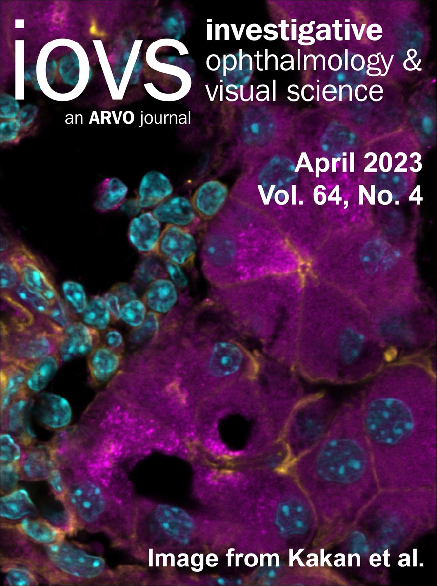 The cover of the April 2023 issue of Investigative Ophthalmology & Visual Science (IOVS) features an image from a publication by our own Drs. Sarah Hamm-Alvarez, Maria Edman, and Brooke Hjelm. @ARVOiovs @KECKSchool_USC