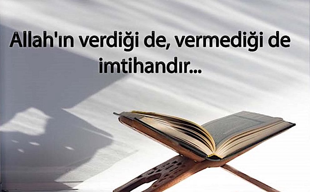 Mesut Cihat🇹🇷🇵🇸 (@mesutcih4t) on Twitter photo 