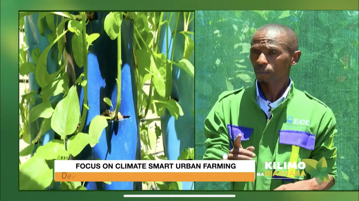 Tower garden is the most moving solution because of its flexibility in terms of space and portability. #kilimonabiashara <a href="/EcoHydroponic/">Eco Hydroponic Gardens</a>