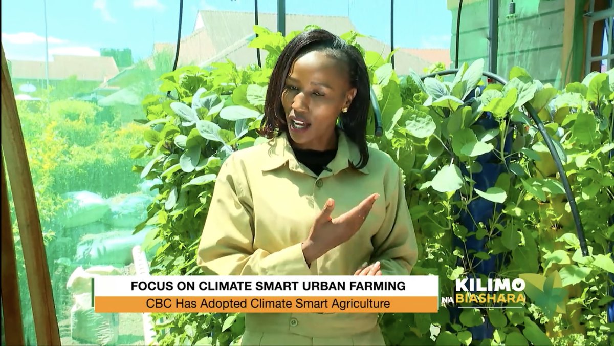 The greatest challenge to urban dwellers is land or space for farming, therefore, Climate-smart urban farming brings them on board to also participate in agricultural production sustainably, it is the solutio to food challeng in the future. #Kilimonabiashara <a href="/EcoHydroponic/">Eco Hydroponic Gardens</a>