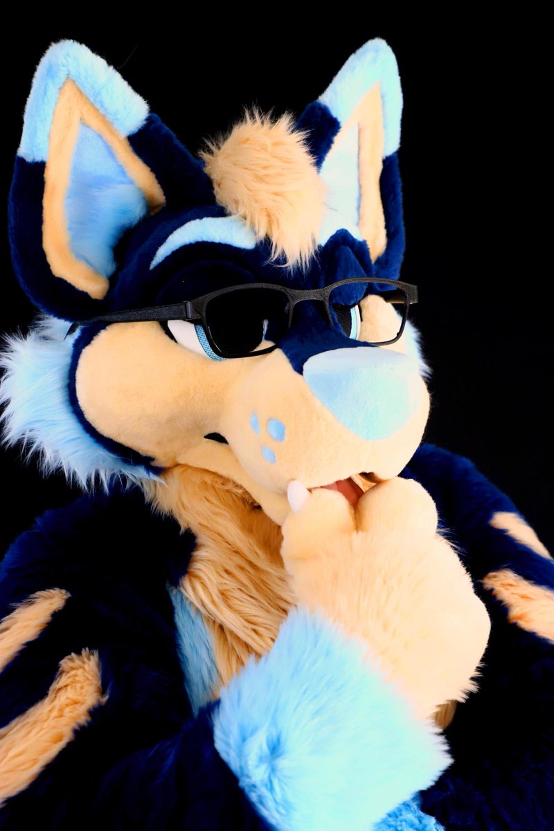 SlushHusky's tweet photo. Don't be fooled. He's never had a thought before in his life. 👓 #FursuitFriday https://t.co/q0EX1NYy1b