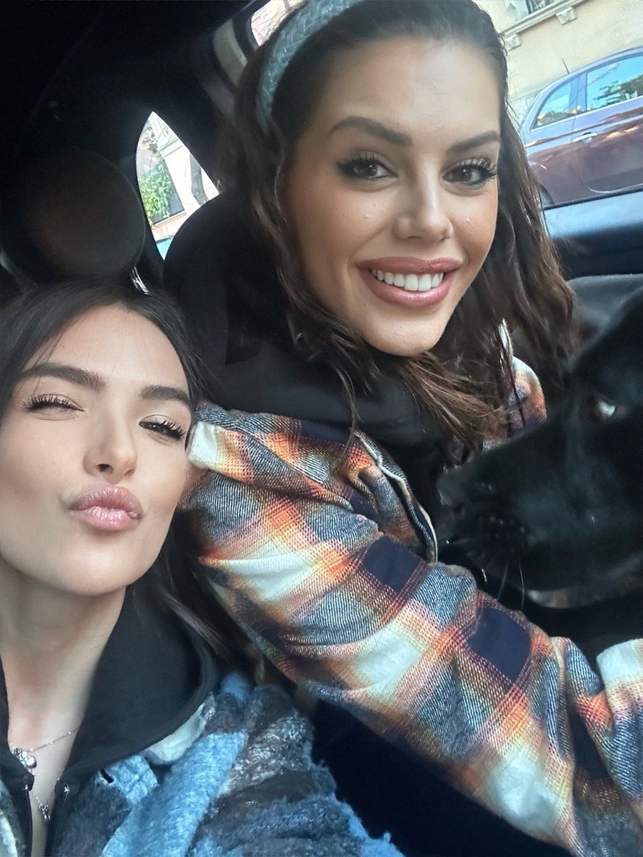 lerianaa's tweet photo. Noi che cerchiamo di coinvolgere Gohan per essere più presente sui social… Gohan che non collabora… Buon viaggio pupi ❤️ @Anto_Fiordelisi @scucchietto #donnalisi https://t.co/dXLfc37Ojx