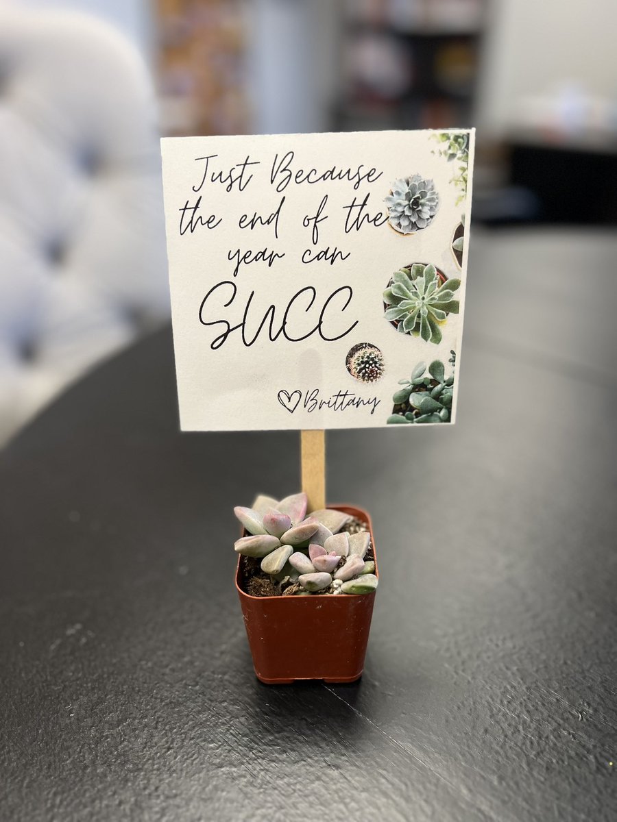 DMPrincipalGCSC's tweet image. Just because 🎍🪴