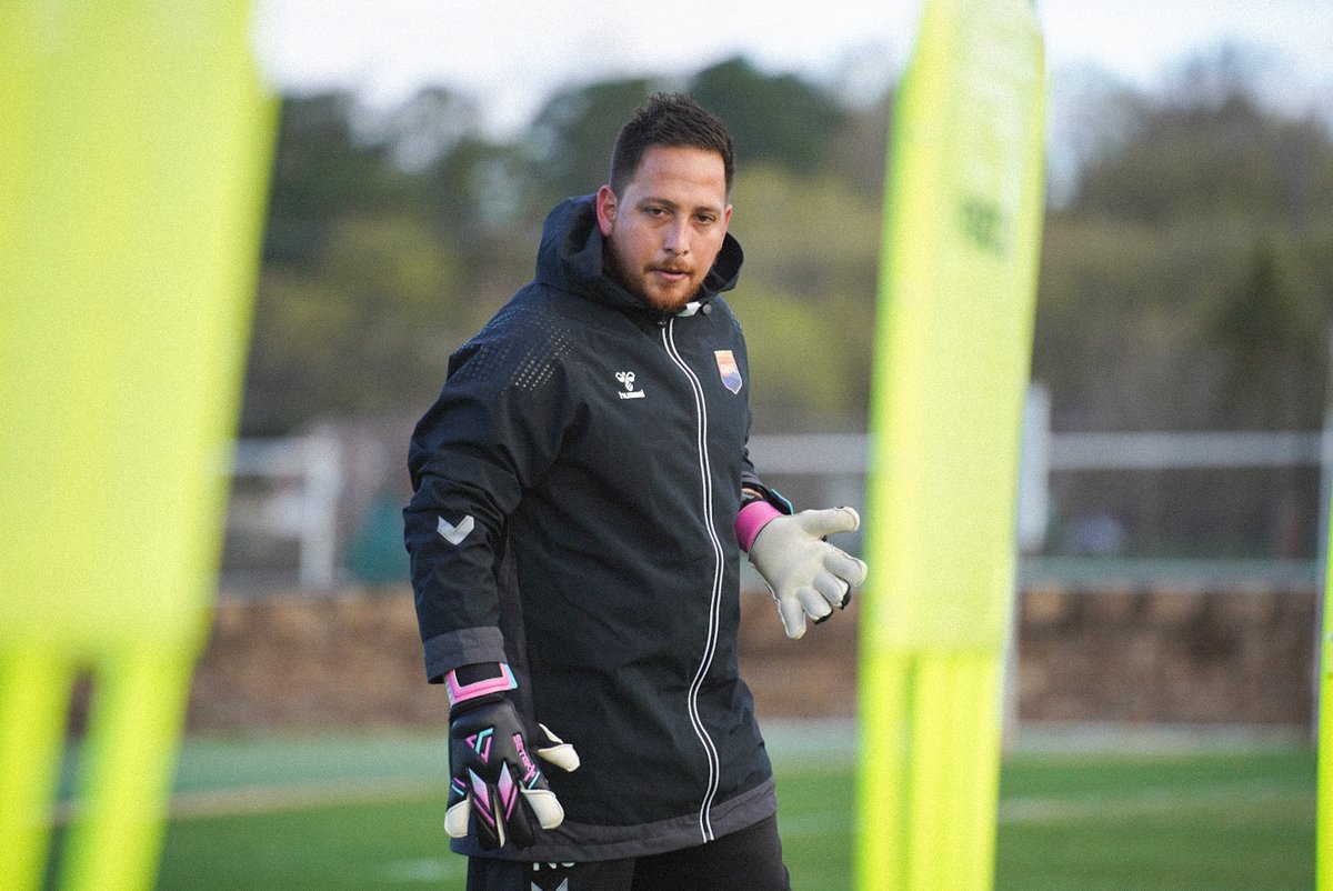 OneKnoxSC's tweet photo. Happy International Goalkeeper Day to these cats! https://t.co/nrWQ0sFxP6