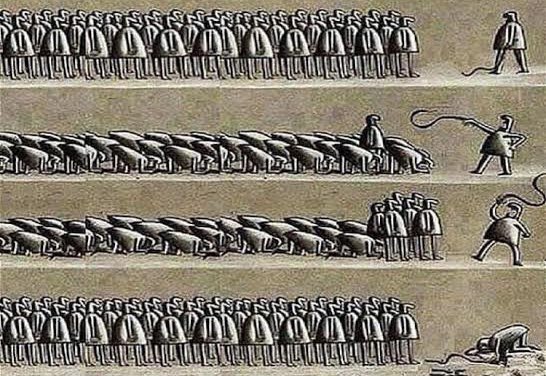 Christine Morgan #Socialist4Life✊😌 tweet media