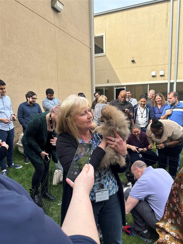 GamingLabsInt's tweet photo. We Celebrated National Puppy Day!
It may be a few days late, but we couldn't resist sharing these adorable photos from the GLI Jersey office's celebration this past Tuesday!πΆπ’ππΎ #NationalPetDay #PuppyLove #OfficeLife #GLI #GamingLabs #FunFridayPost #FeelGoodFriday https://t.co/iyg2KRkkey