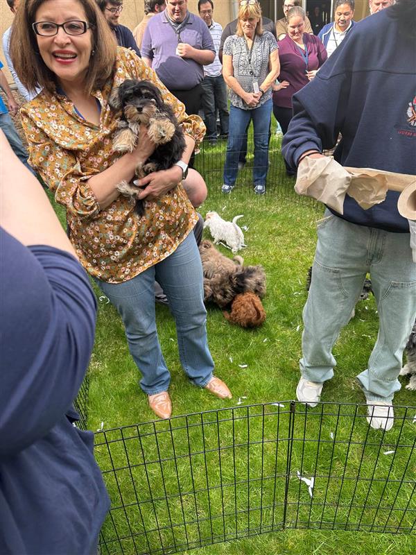 GamingLabsInt's tweet photo. We Celebrated National Puppy Day!
It may be a few days late, but we couldn't resist sharing these adorable photos from the GLI Jersey office's celebration this past Tuesday!πΆπ’ππΎ #NationalPetDay #PuppyLove #OfficeLife #GLI #GamingLabs #FunFridayPost #FeelGoodFriday https://t.co/iyg2KRkkey