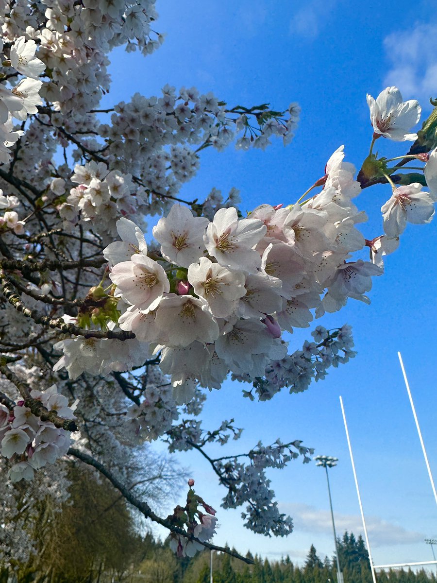 UHill Secondary tweet media