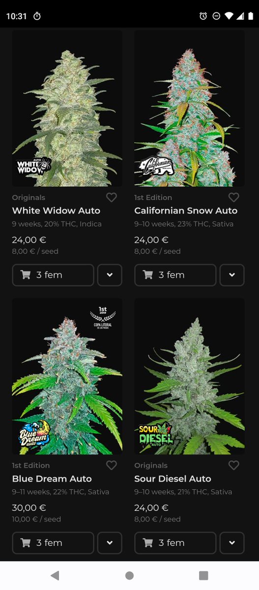 a1h3rb's tweet photo. Available #weed #gardening female #seeds auto

#Sativa first edition originals

⚡🪽 energy buds Blue Dream, Trainwreck, Sour Diesel, Orange Sherbet🍊, Green Crack; strain offers a tasteful effect of spicy fruits and tropical Mango🥭

https://t.co/ssxLunoiXH

#Cannabis #Marijuana https://t.co/uOZzX9SMcN