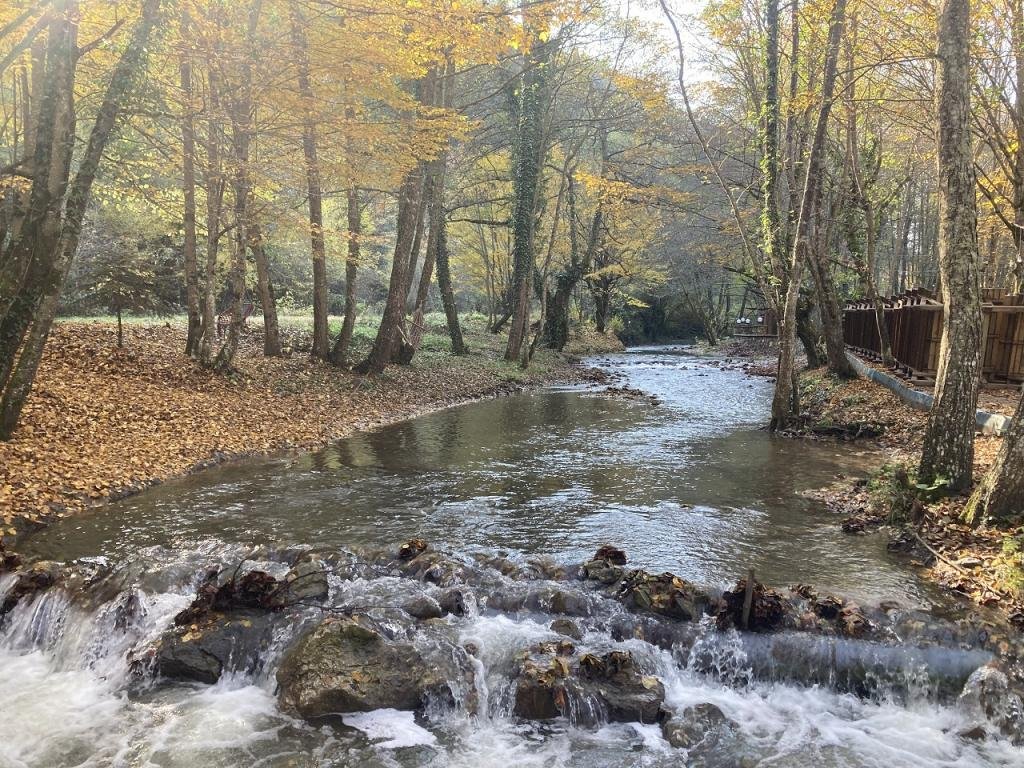 ibrahimklczb's tweet image. Doğa Sever Takipçilerime Bolu Abant'ta 2 gece 3 gün Şömine's Otel Tatil çekilişi 🏕️

10 yıl Turizm geçmişi olan birisi olarak söylemeliyim ki bu zamana kadar konaklama yapıpta en keyif aldığım ve stresimi attığım otel burası olmuştur.

Bu sebeple içinizden bir çifte bu hediyeyi…