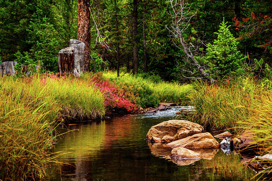 TerryMair's tweet photo. Murdock Basin Autumn. Uinta Mountains, Utah
Order yours today; https://t.co/VOPZHRKSyL
#MurdockBasin #UintaMountains #Utah #Buyintoart #Wallart #Interiordesigner #Intiordecor #Autumn #Fallcolors #Water #Mancave #Mancaveideas #Getithere #Buyart #Peaceful https://t.co/70XLf1gldY