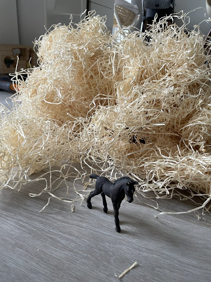 Jess Piper tweet media