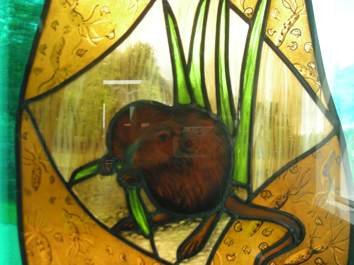 haslemeremuseum's tweet photo. Which Surrey wildlife will you create?
#countdowntoEarthDay #ThewildEscape #GetWildAboutSurrey #HaslemereEarthDay https://t.co/8Bk9NwhU6I