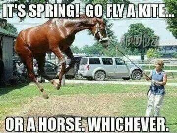 BioRiderFit's tweet photo. #fridayfunny https://t.co/v5ZvfyiAy9