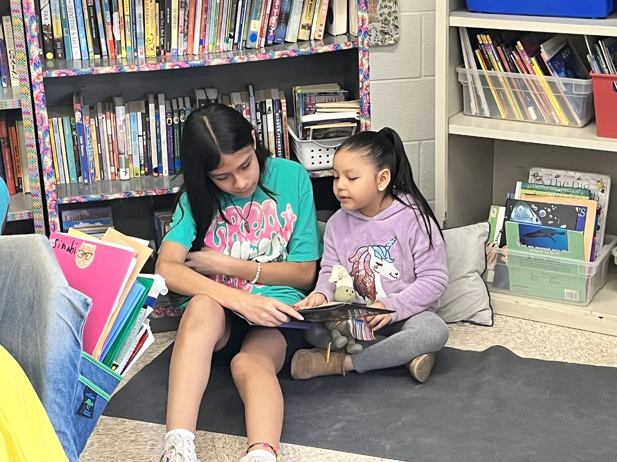 Marisa McDonnell tweet media