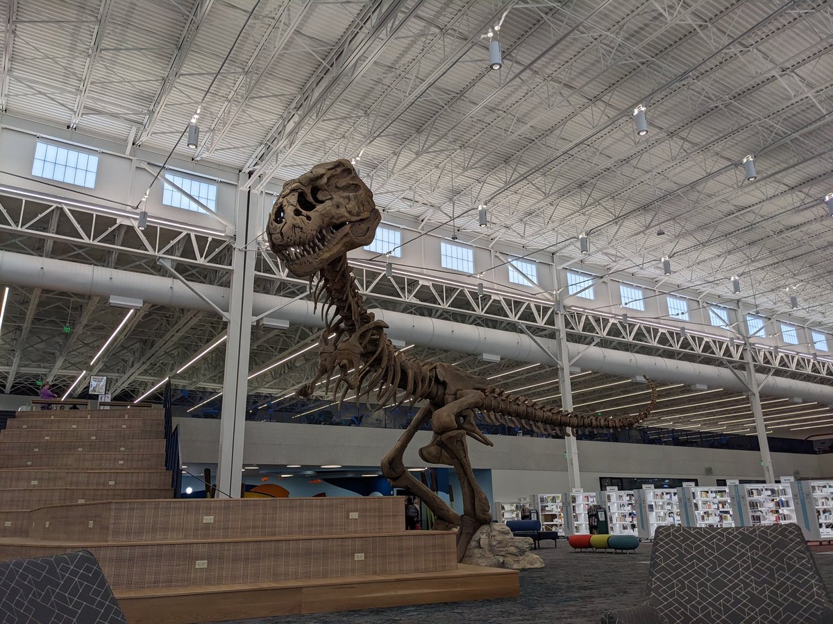 Velasco_MG's tweet photo. Finally got to check out the new Frisco Public Library. It's lit.  #library #librarians #books https://t.co/DOedFFYT00