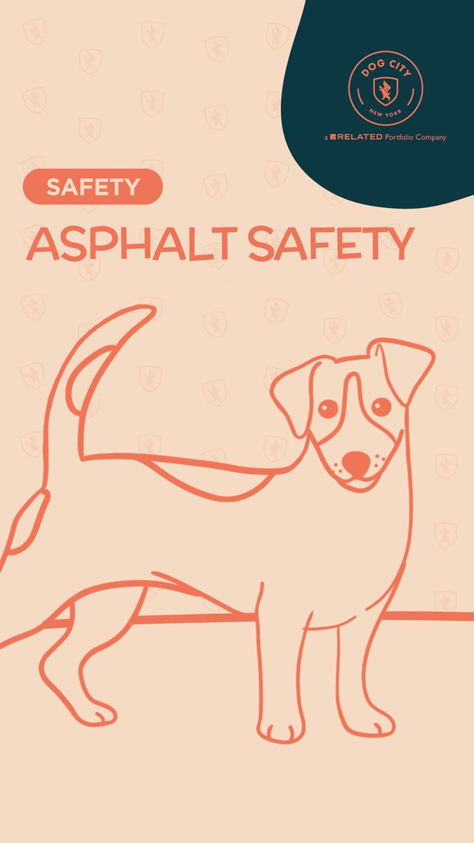 dogcitynyc.com/asphalt-safety…  

#dogblog #dogcitynyc #dogdaycare #dogwalking #doggrooming #dogboarding #dogtransportation