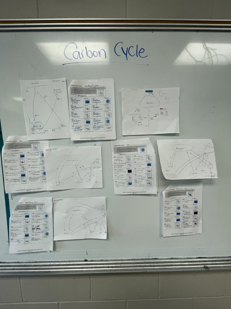 teachingHis's tweet image. Throughout the week, our students conducted mini-audits of our cafeteria’s food waste and evaluated its effect on climate change through simulating movements of the carbon cycle. #FWPW2023 @sustainabilityteachersacademy @foodwastepreventionweek @WWF @CECWeb