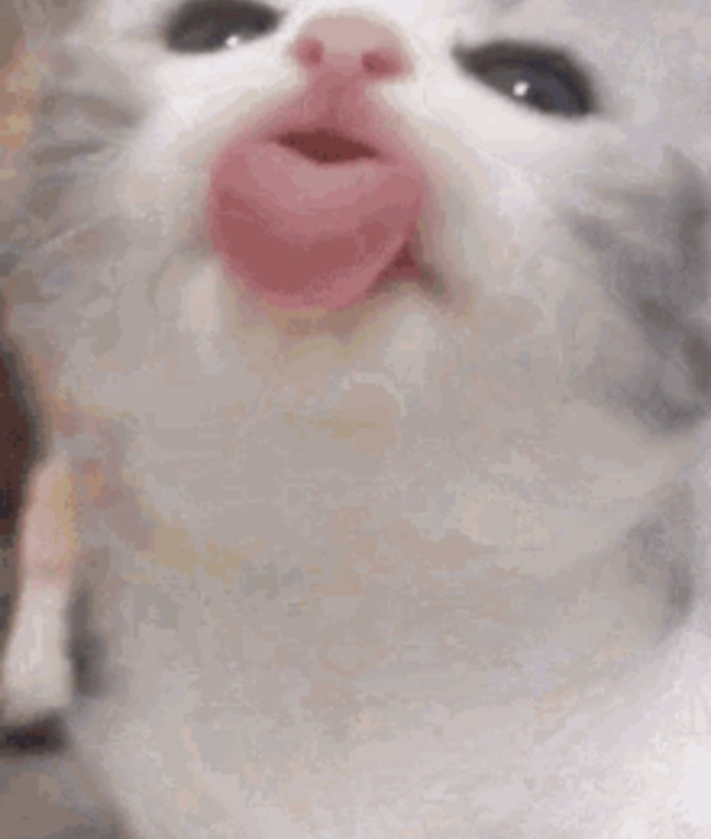 𓍯˚ ⊹ 𝓐𝒏𝒈𝒆𝒍 𝓞𝒇 𝓢𝒕𝒓𝒊𝒏𝒈𝒔 (@heavensvolce) on Twitter photo 