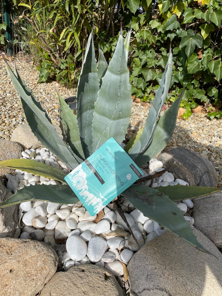 beautypro tweet media