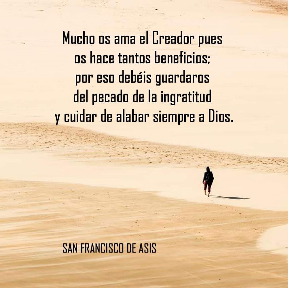 Frases de Santidad ✝😇  

#Santos #Iglesia #Migrantes #SomosHermanos #TodosSomosMigrantes