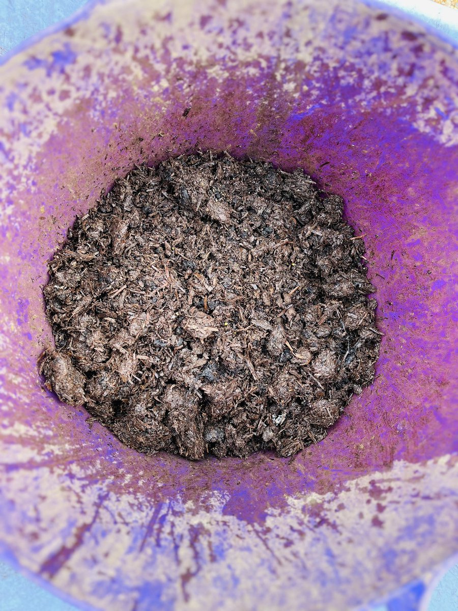 All sorted for the weekend - all cleaned up now. It was a soggy and a most mucky week. Let the sun shine this weekend.