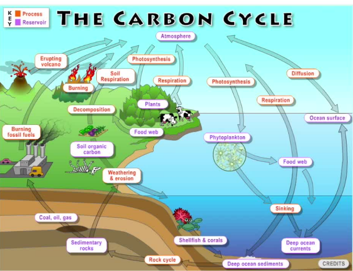 NOAAClimate tweet picture