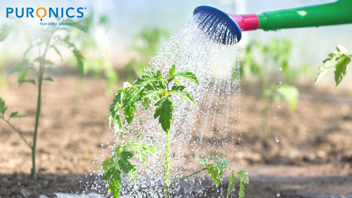 puronics's tweet photo. Plants need water to grow! By watering your plants with water free of chlorine and other chemicals, you will give them the best chance of growing. #NationalGardeningDay #cleanwater 

Check out Puronics' Chlorostatic Technology: https://t.co/vg1XxHCYq6 https://t.co/MOwiXGr6ia