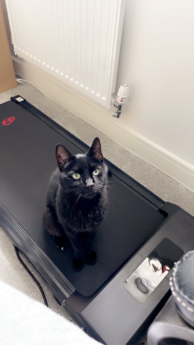 Hey guys I’ll be streaming again on Monday at 1pm BST so keep an eye out for the poll where you get to decided what I play🙌🏻 

#girlswhostream #LizardCult #SmallStreamersConnect #smallstreamersupport #twitchaffiliate #varietystreamer <a href="/BlazedRTs/">Blazed</a>