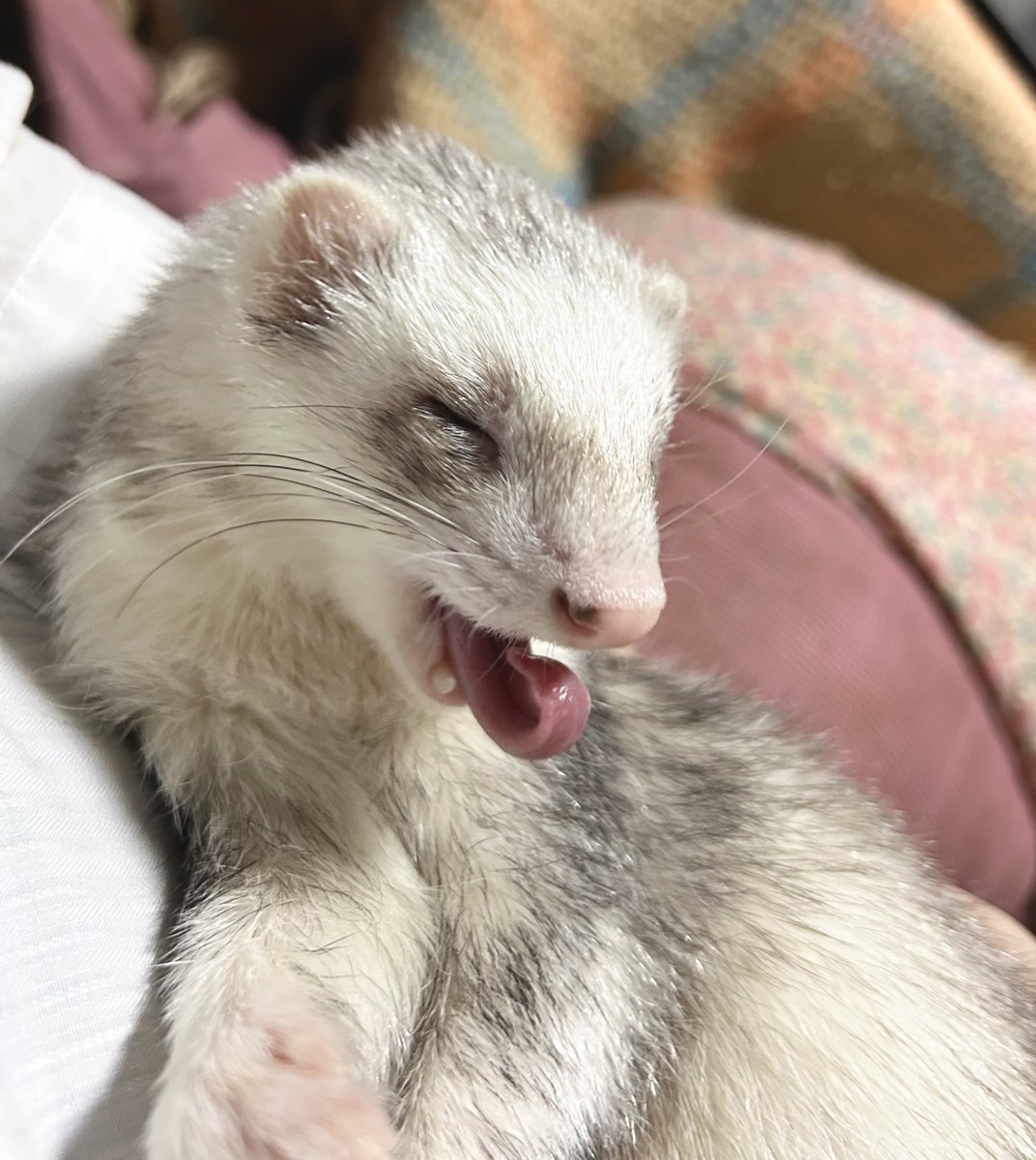 眠いね https://t.co/4BH9WT0jRo