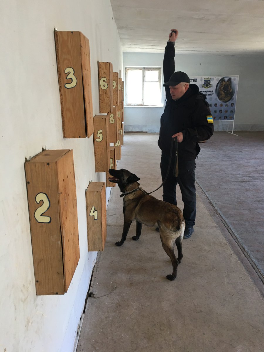 ICMPDinEECA's tweet image. On 14/4/2023, ten canine teams of the State Customs Service of Ukraine successfully completed a 2-week specialized training provided by the "EU Support in Strengthening #IntegratedBorderManagement in 🇺🇦 – Resilience”, the EU-funded project.

#icmpd #migration #bordermanagement