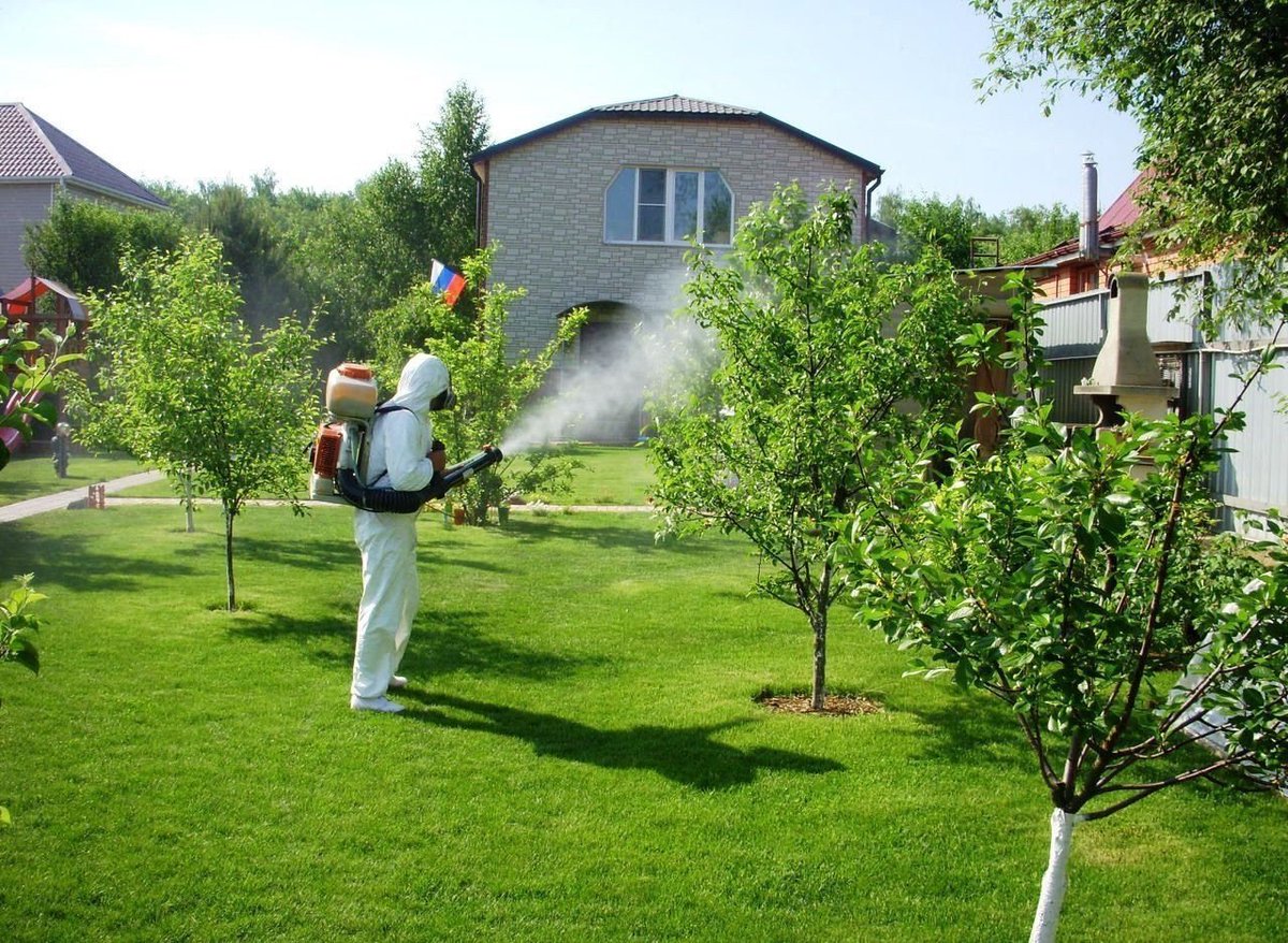 :📝
📞8-846-990-73-67 
📞8927-260-73-67 
📞8917-107-93-84 
📞8800 234-30-81
Мы с Вами 13лет!🤝
Скидки от объёма и постоянным клиентам💯%_*