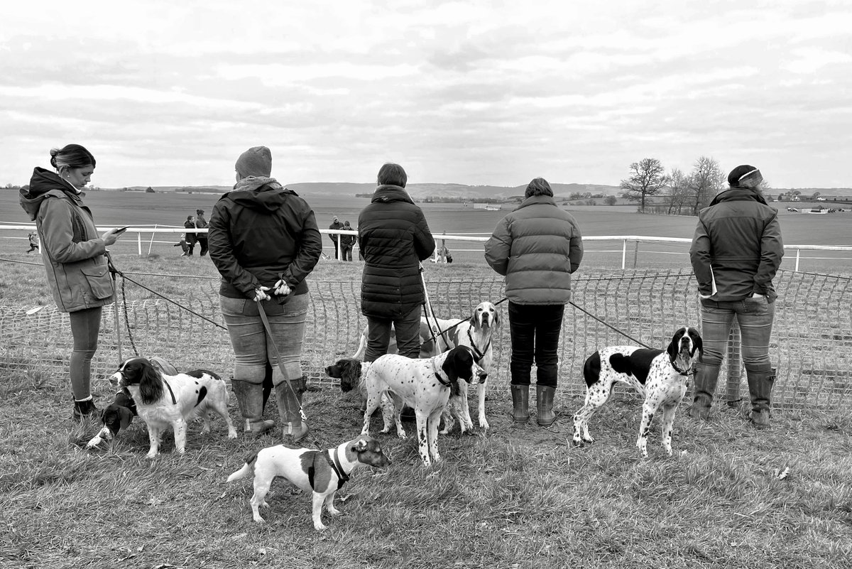Where will you #gopointing this weekend? A choice of 6 meetings from Devon to the Borders, including the prestigious Lady Dudley Cup at Chaddesley Corbett.
Sat 15th April
🏇 High Easter
🏇 Flete Park
🏇 Chaddesley Corbett
Sun 16th April
🏇 Edgcote
🏇 Mosshouses
🏇 Cotley