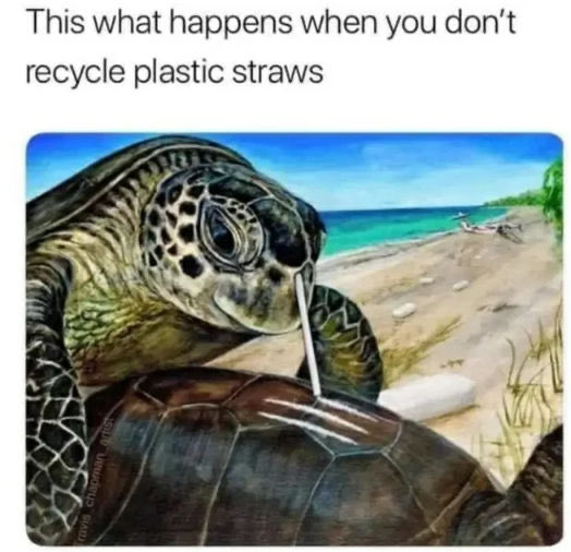 @LibertyCappy Plastic straws are fine