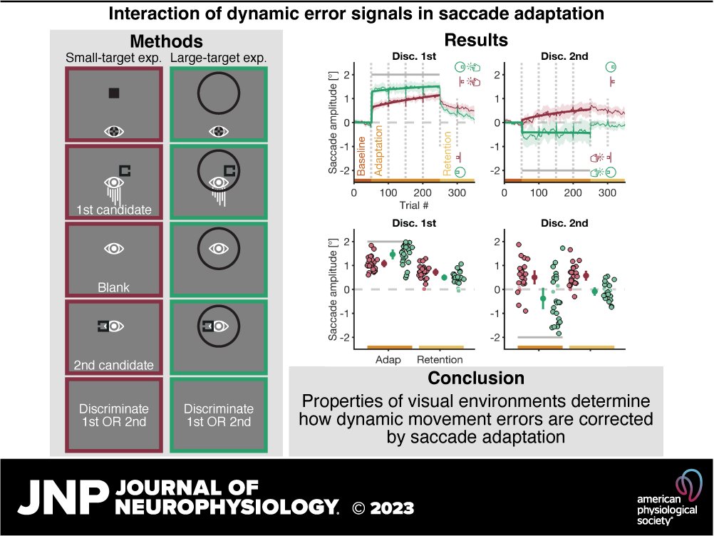JNeurophysiol's tweet photo. 🔓#OpenAccess 

Ilja Wagner &amp; Alexander C. Schütz demonstrate that properties of the visual environment determine how dynamic movement errors are corrected in this newly published #research.

🖱https://t.co/BqpC00vOve
#MotorAdaptation #saccades #ImplicitLearning #ExplicitLearning https://t.co/stAN0yvEZ9