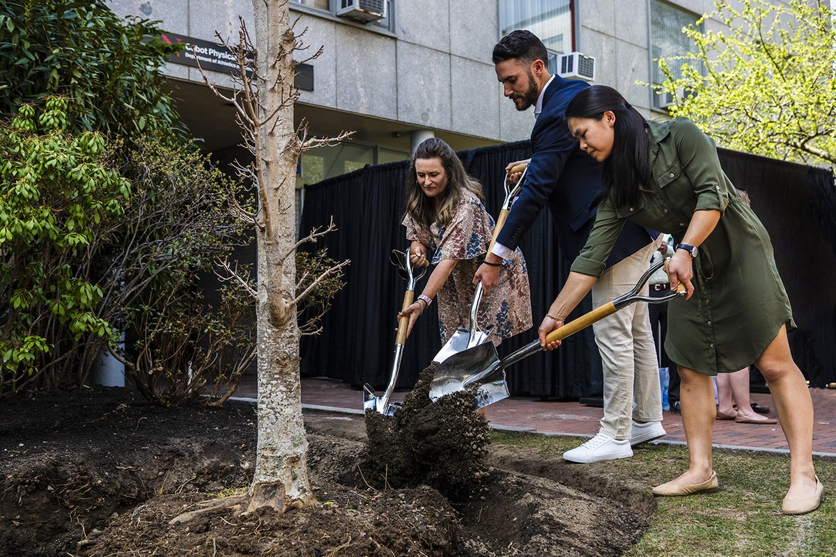Northeastern's tweet image. Heroes among us. 10 years after the #BostonMarathon bombing, our #Northeastern community reflects and remembers with the planting of Newton Sentry Sugar Maple.
📍 Cabot Quad