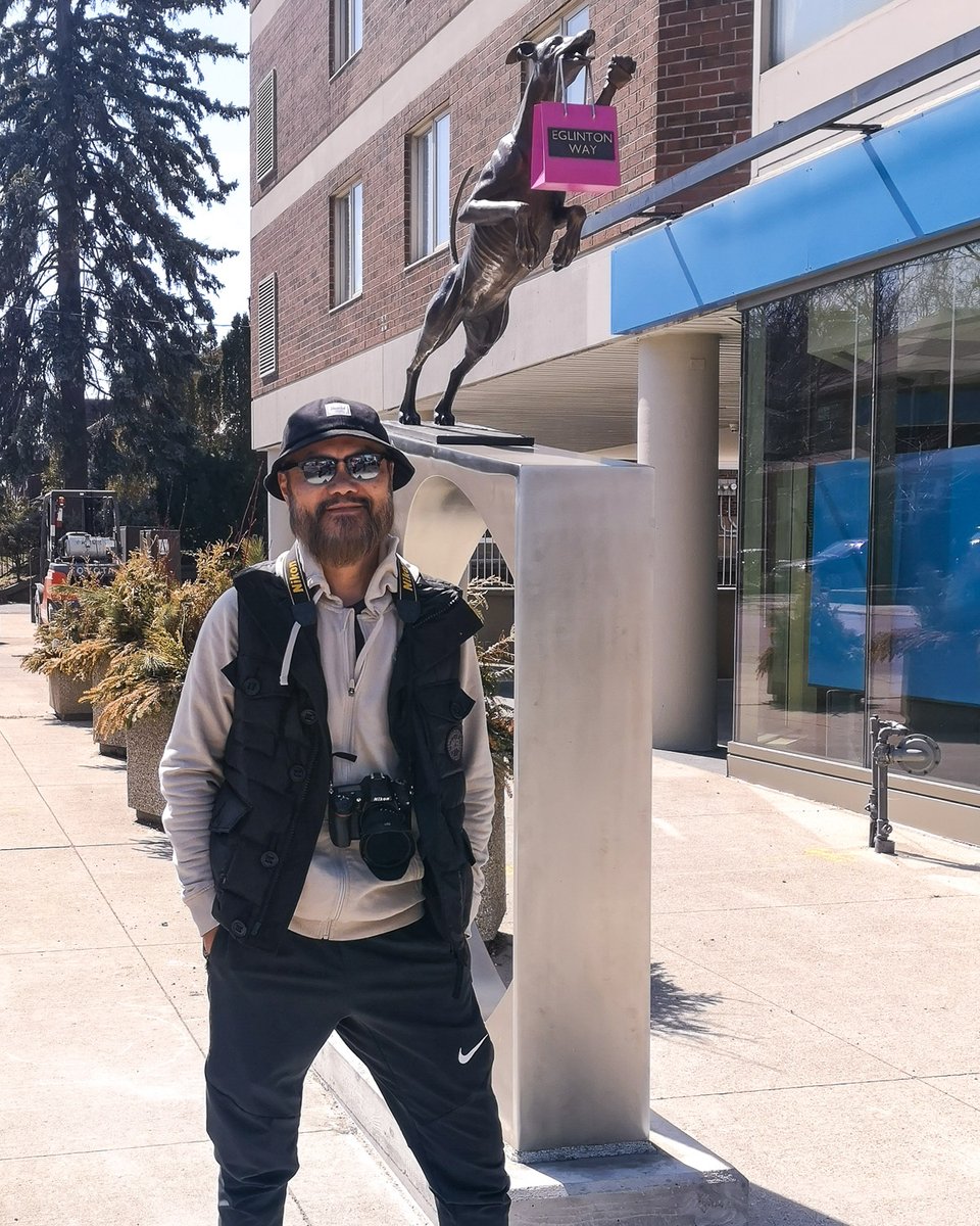 wwhungstudio's tweet photo. It's a wrap! "Fetch!" is installed at Elmsthorpe Ave &amp; Eglinton Ave West. Special thanks to @EglintonWay &amp; @cityoftoronto for funding this project. The public art competition was managed by @STEPSPublicArt 
#publicart #torontoart #publicsculpture #dogsculpture #contemporaryart https://t.co/XxXPT84FKI
